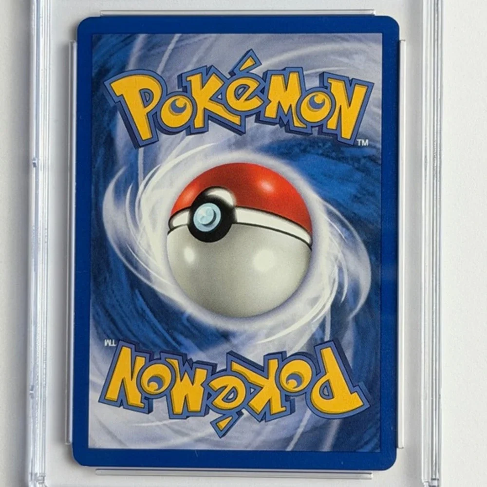 Pokémon misty seel